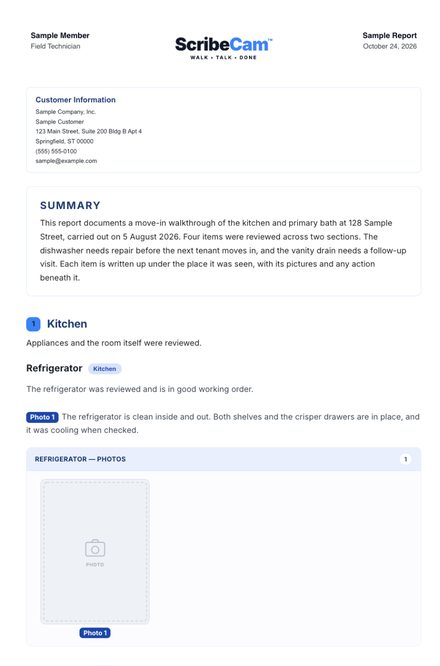 Big Pictures report design