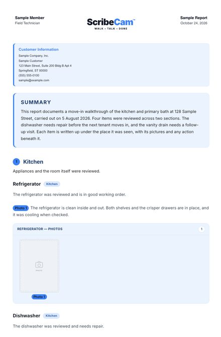 Soft Tint report design